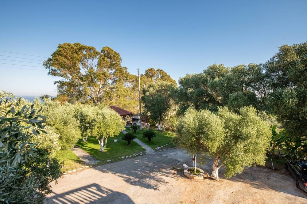 Photo of Outdoor in Spartia