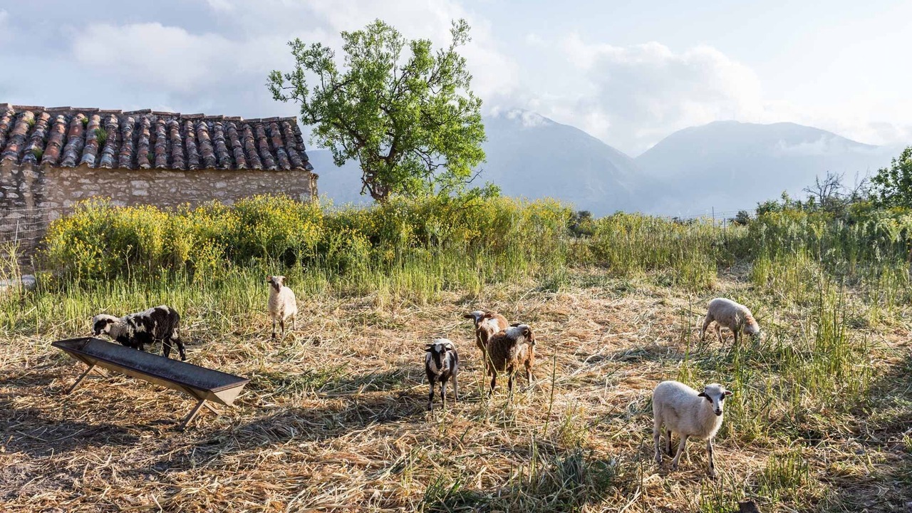 Photo of Outdoor in Mylopotamos