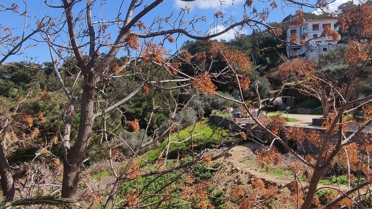 Photo of Others in Gialiskari