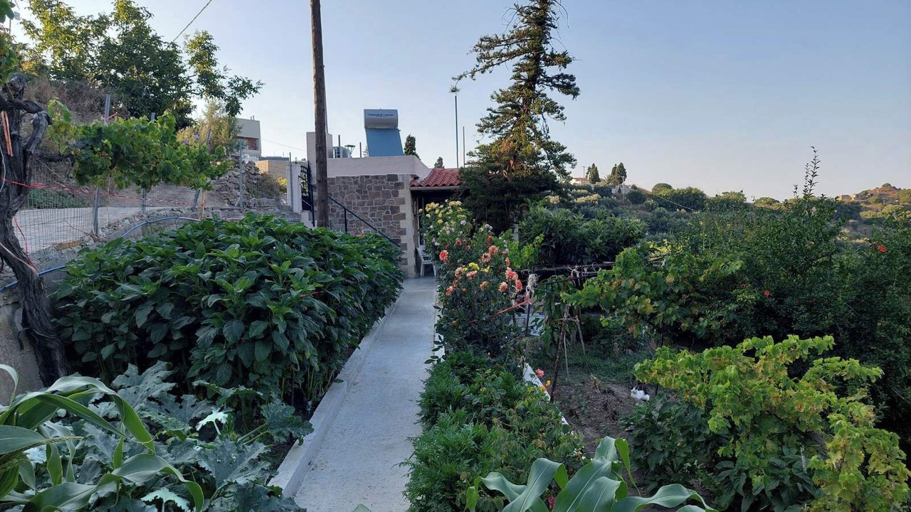 Photo of Outdoor in Pefki