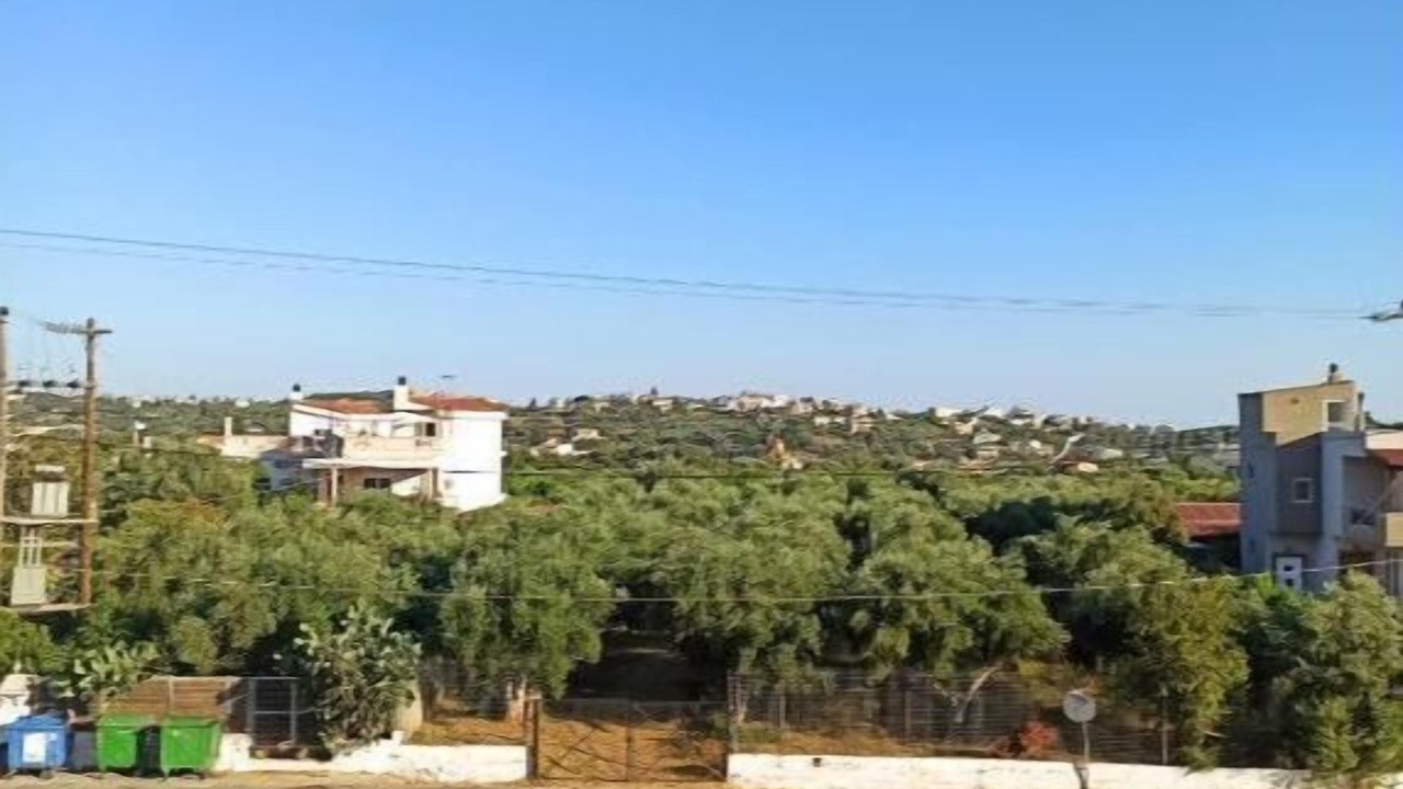 Photo of Outdoor in Perivolia