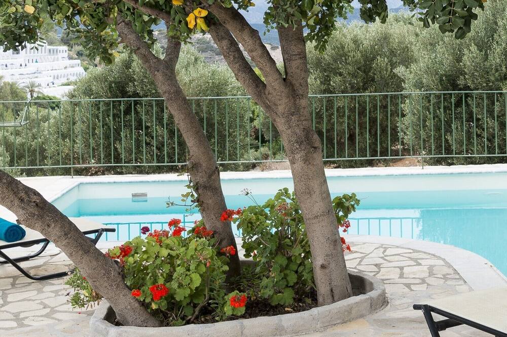 Photo of Outdoor in Istron