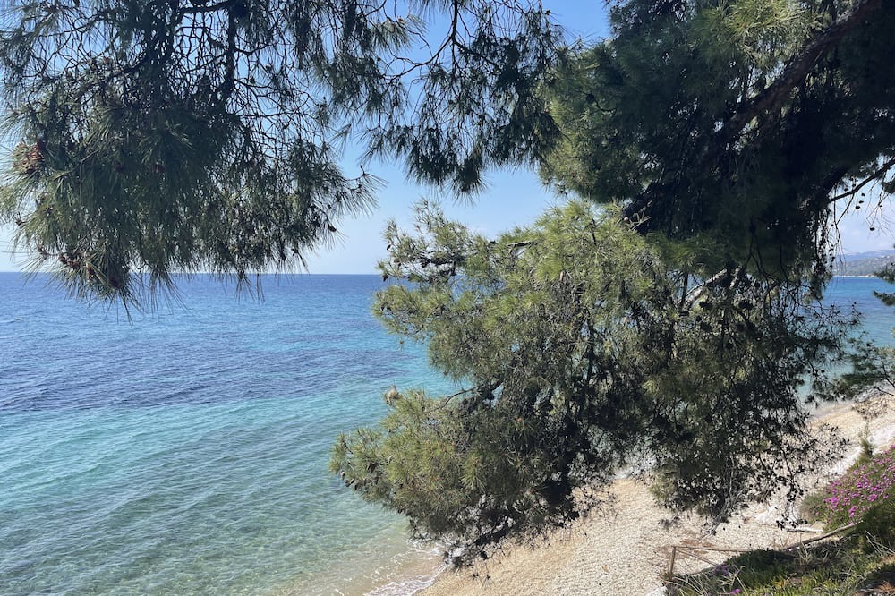 Photo of Others in Elia