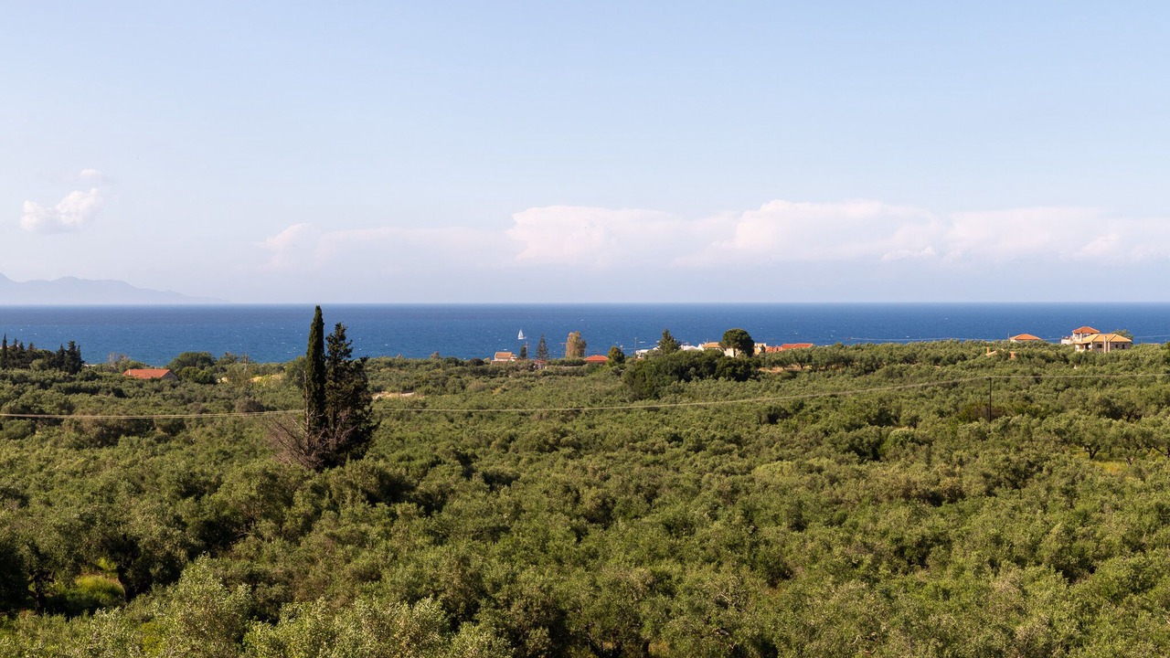 Photo of Others in Planos