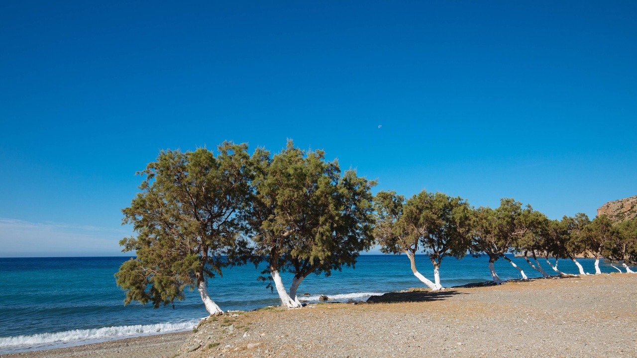 Photo of Others in Agios Vasileios
