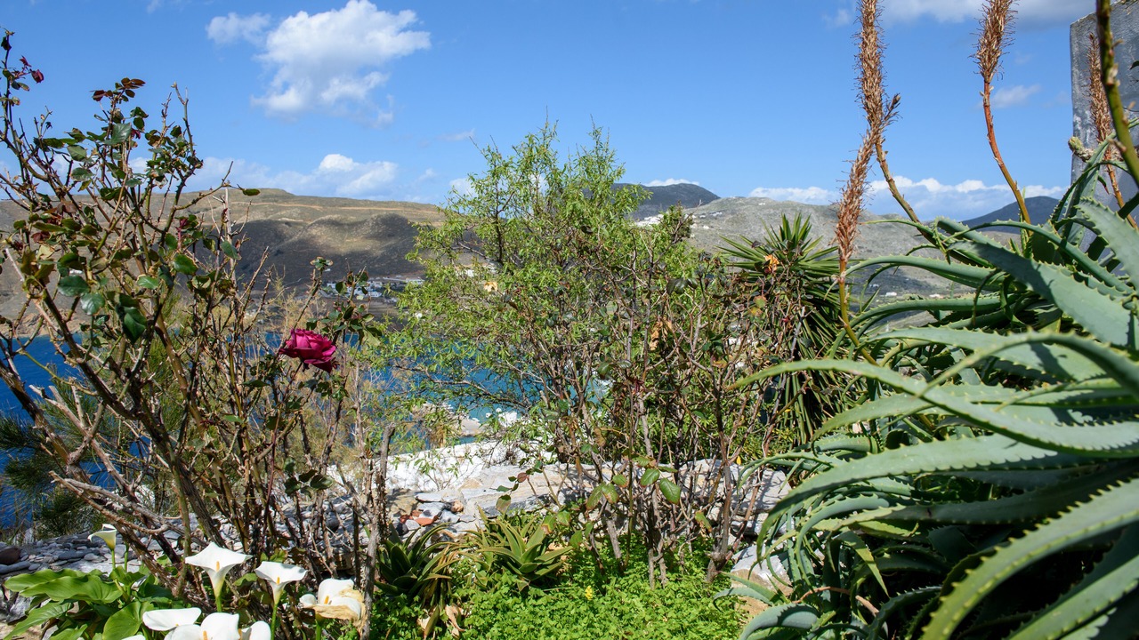 Photo of Others in Aegiali