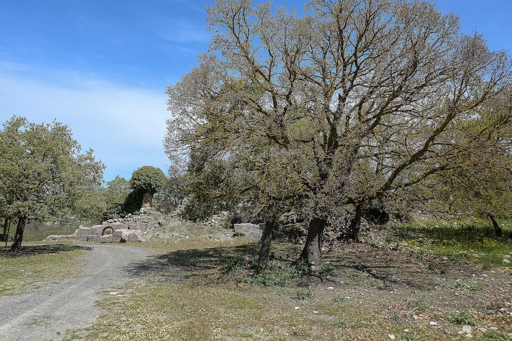 Photo of Outdoor in Vlachiana