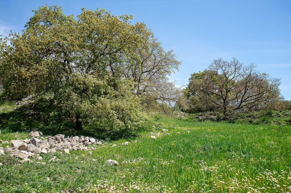 Photo of Outdoor in Vlachiana