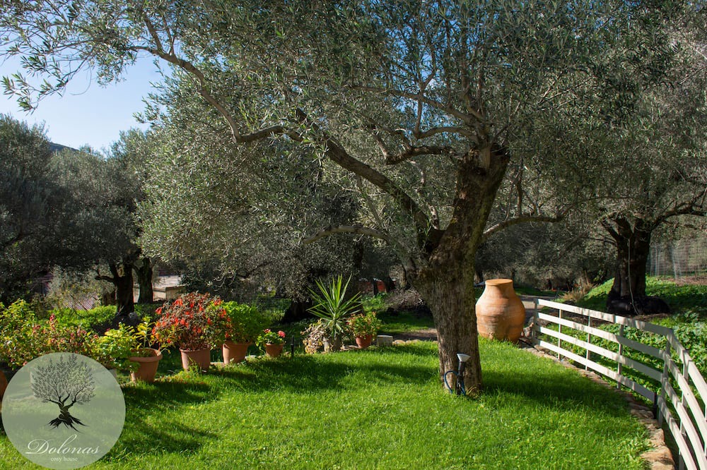 Photo of Outdoor in Milia