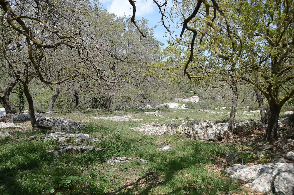Photo of Others in Vlachiana