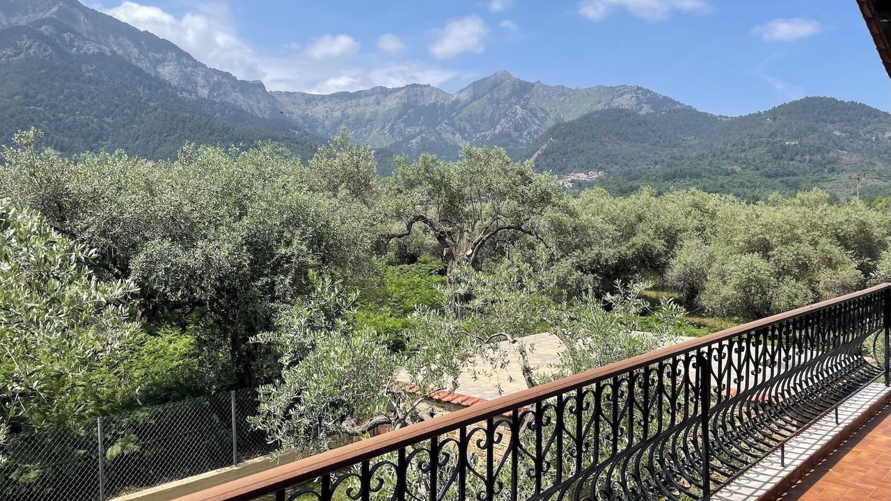 Photo of Others in Thasos Town