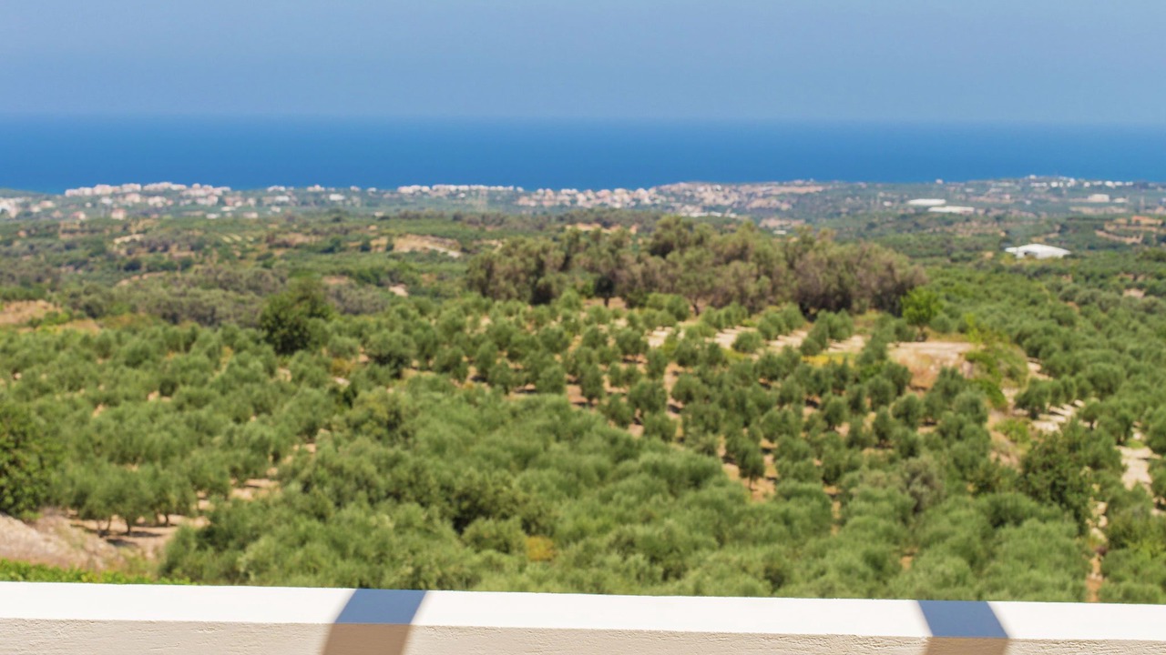 Photo of Outdoor in Skouloufia