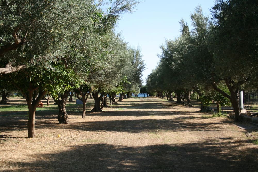 Photo of Outdoor in Gefira Mpania