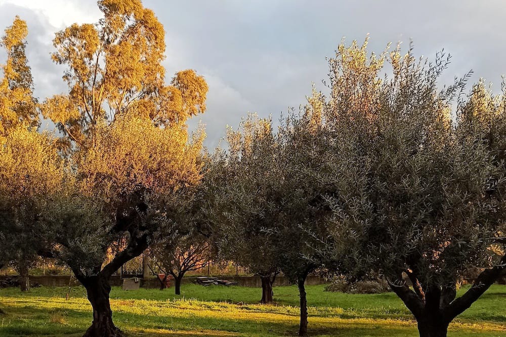 Photo of Outdoor in Gefira Mpania