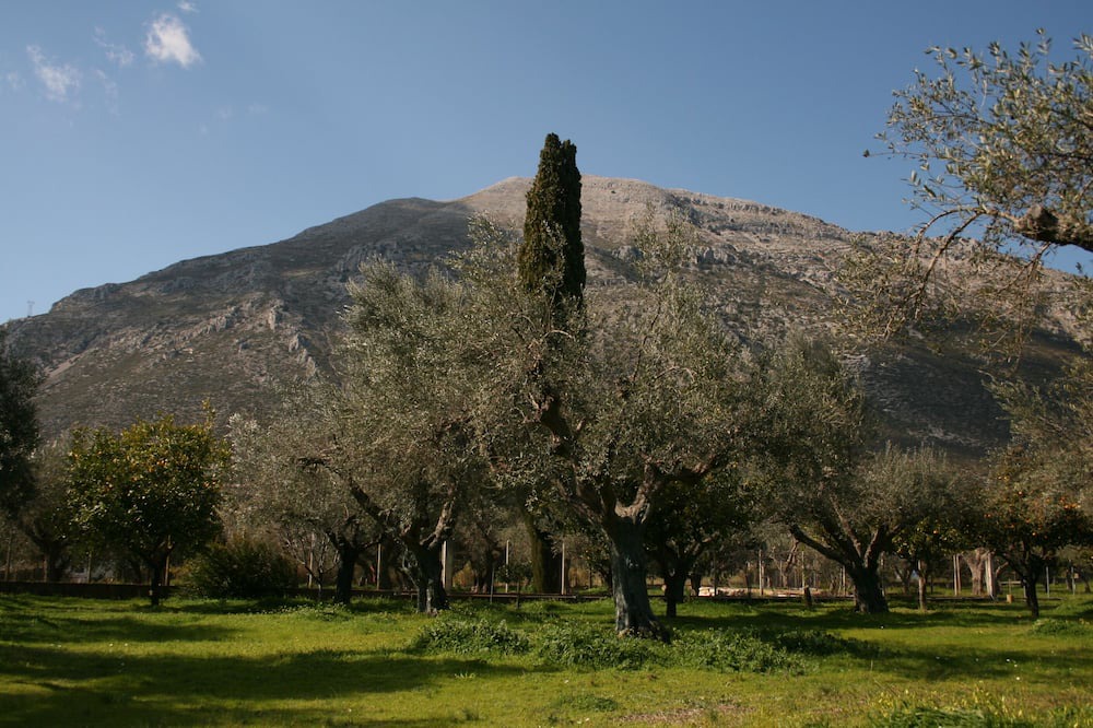 Photo of Outdoor in Gefira Mpania