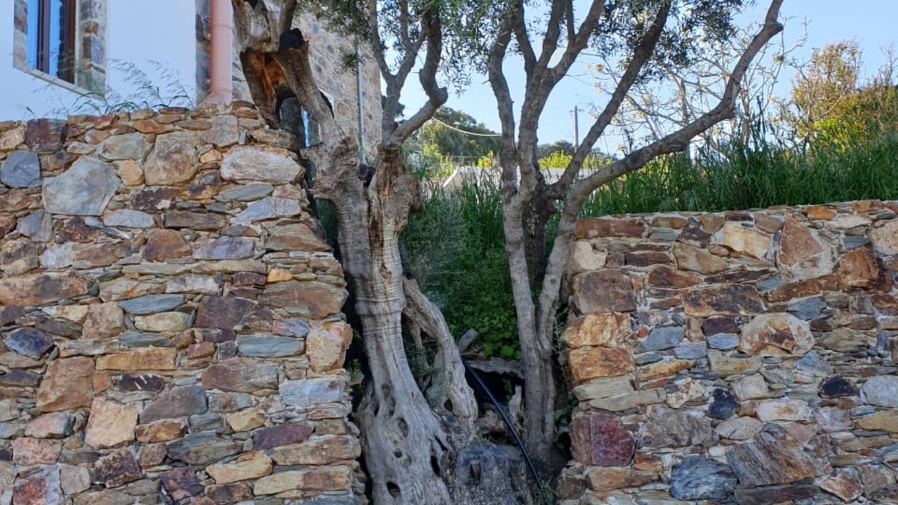 Photo of Outdoor in Agriles