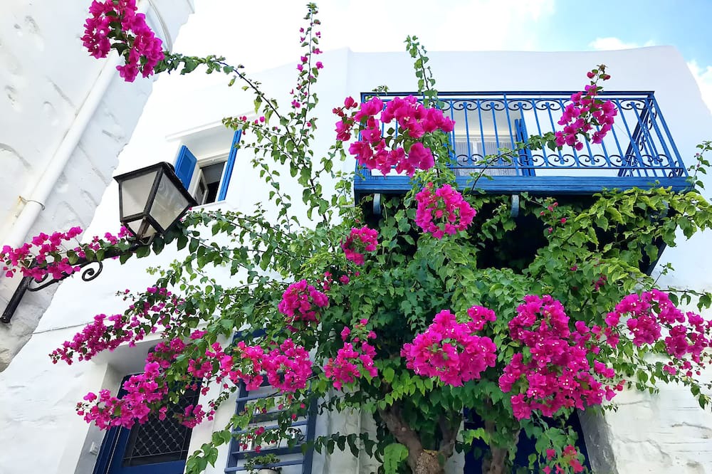 Photo of Outdoor in Ano Siros