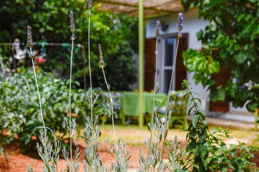 Photo of Outdoor in Old Hersonissos