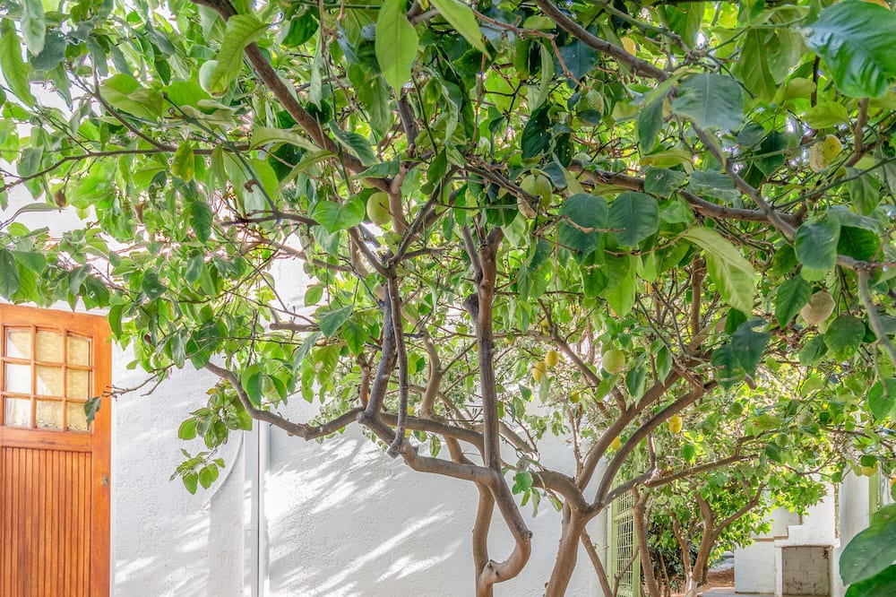 Photo of Outdoor in Old Hersonissos