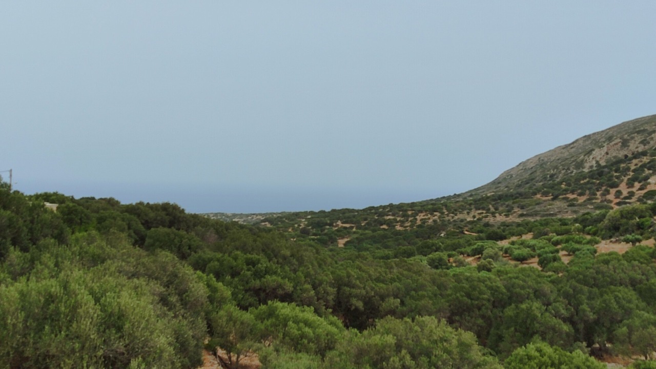 Photo of Outdoor in Vrouhas