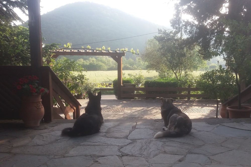 Photo of Others in Konitsa