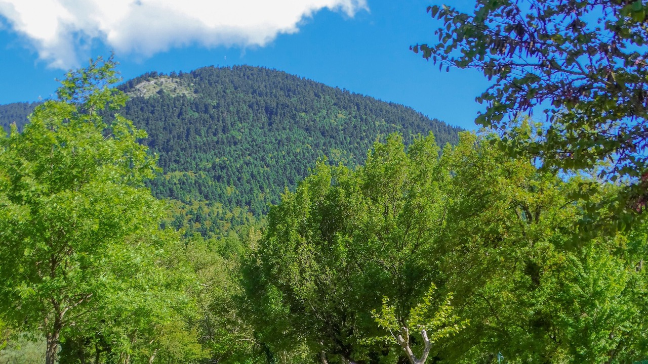 Photo of Outdoor in Kakalioraiika