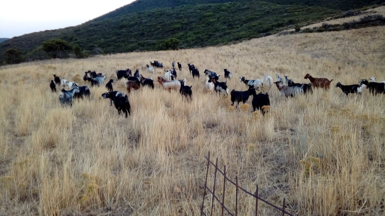Photo of Outdoor in Strovles