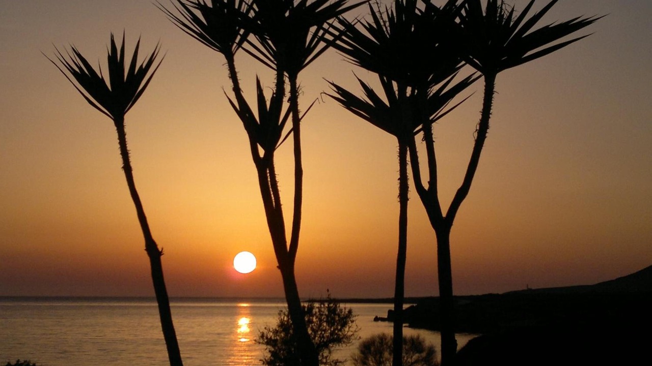 Photo of Others in Kounopetra