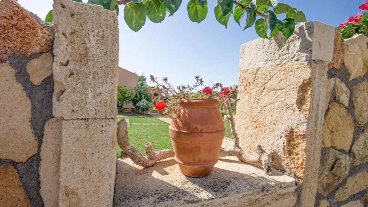 Photo of Outdoor in Kounopetra
