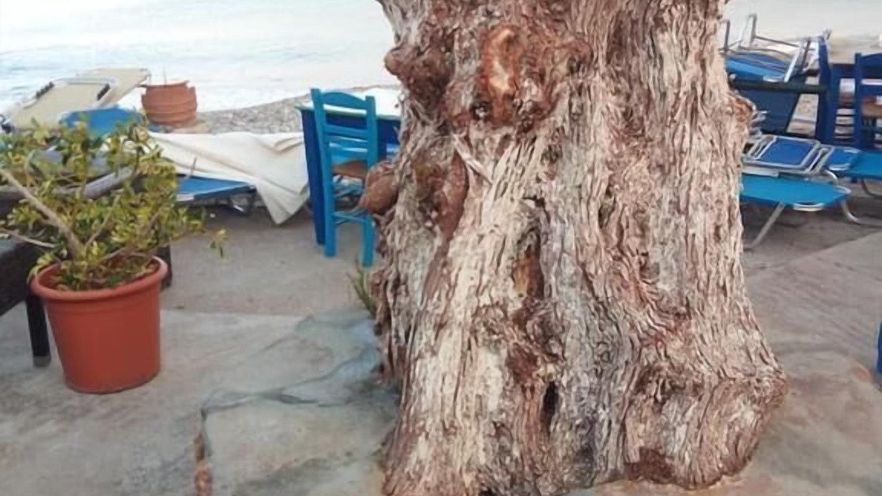Photo of Outdoor in Sitia