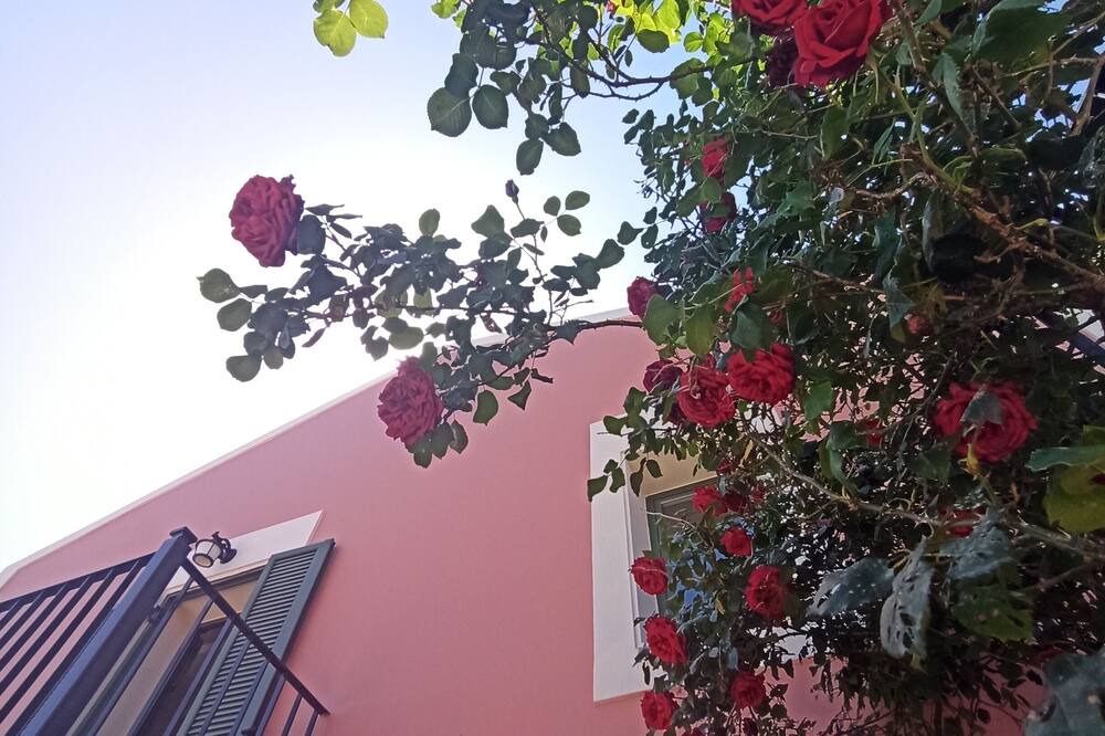 Photo of Outdoor in Katsarata