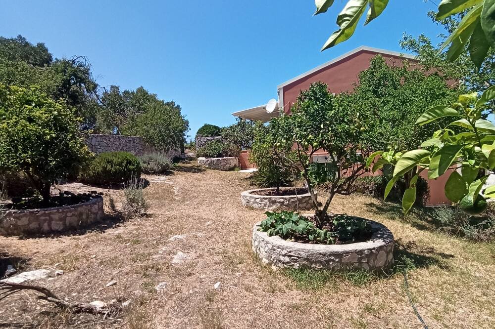 Photo of Outdoor in Katsarata