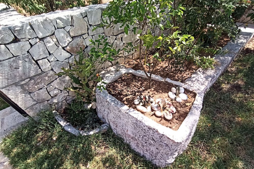 Photo of Outdoor in Katsarata