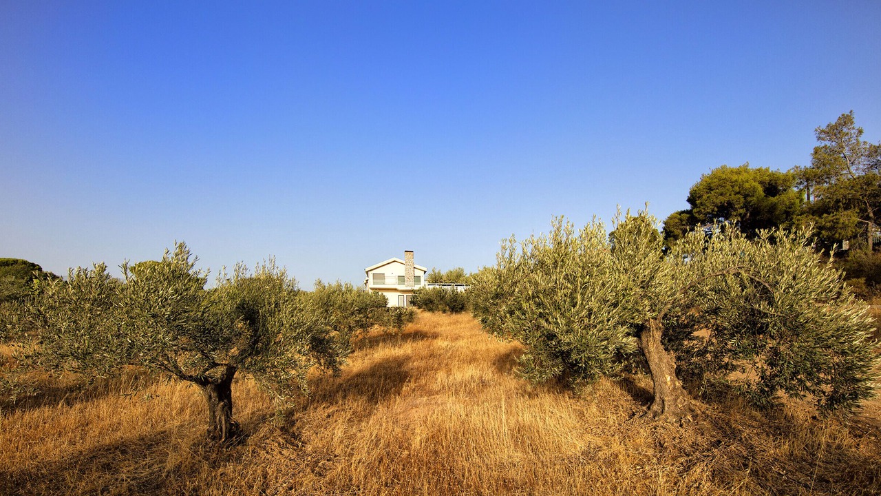 Photo of Others in Loutraki