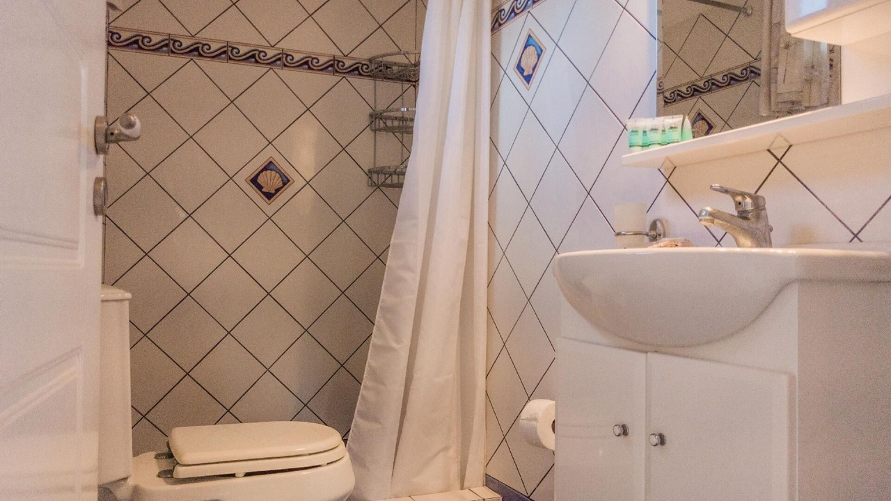 Photo of Bathroom in Kounopetra