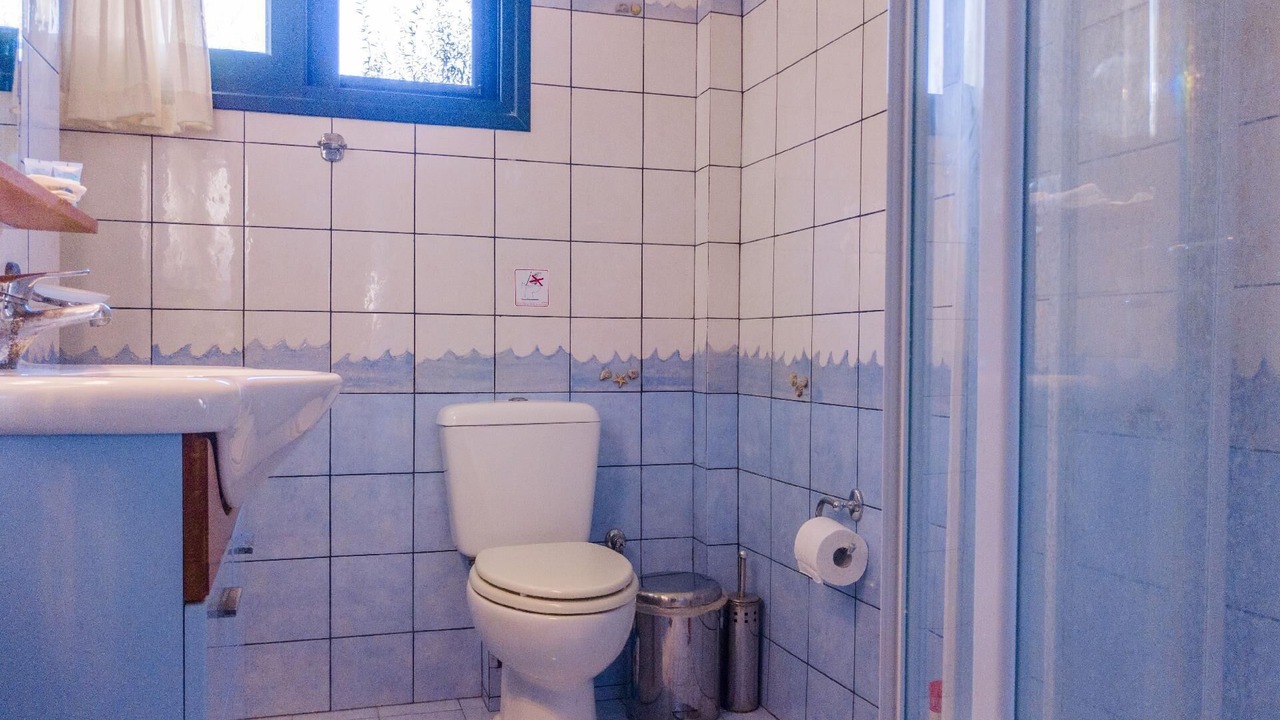 Photo of Bathroom in Kounopetra