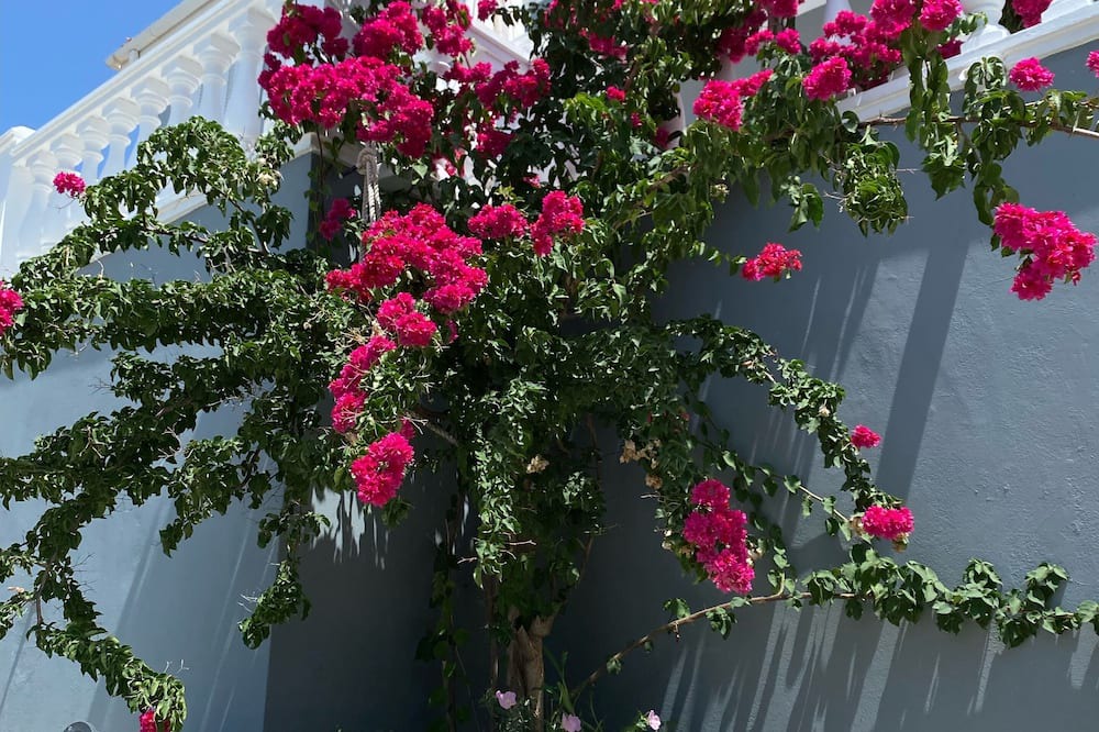 Photo of Outdoor in Samos