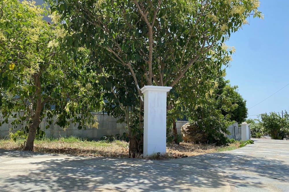 Photo of Outdoor in Samos