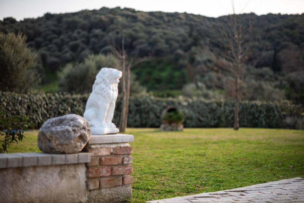 Photo of Outdoor in Vatolakkos