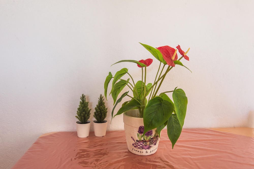 Photo of Bedroom in Ag. Georgios