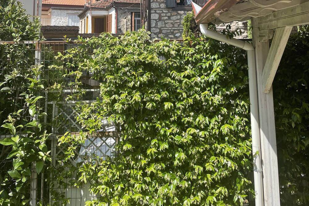 Photo of Others in Dio-Olympos