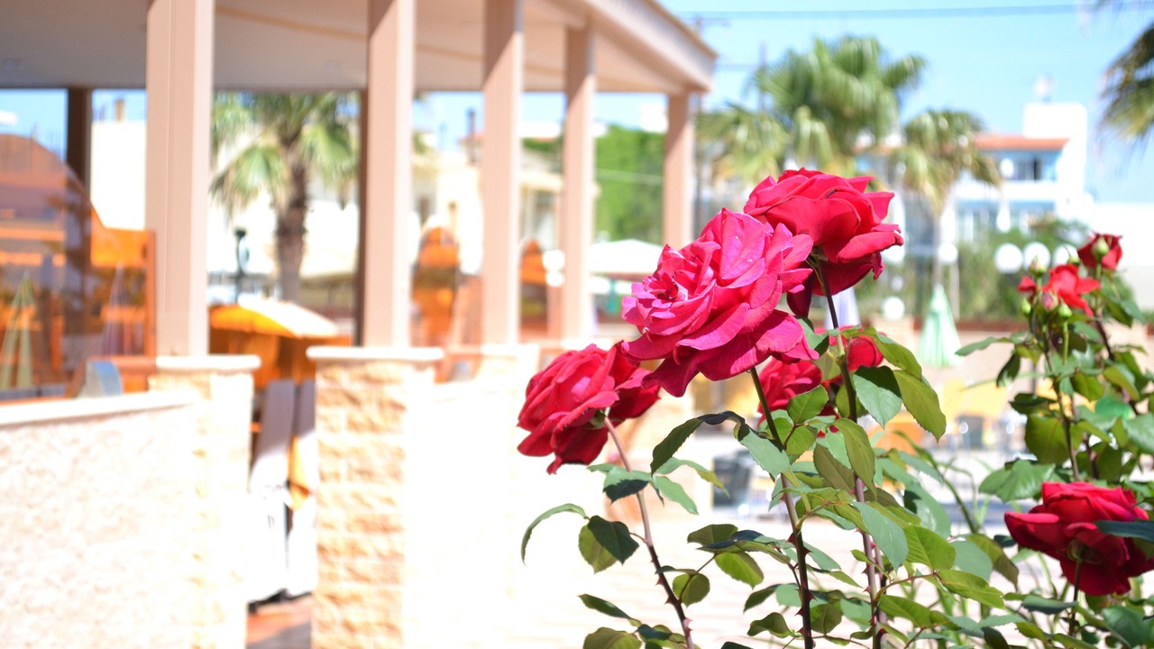 Photo of Outdoor in Adelianos Kampos