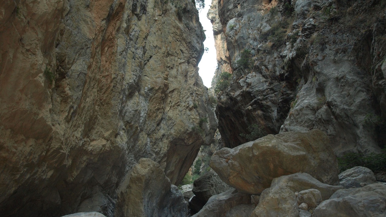 Photo of Others in Myrtos