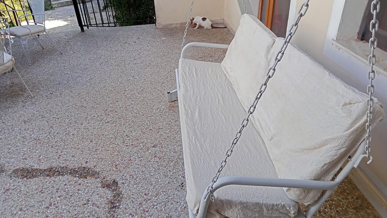Photo of Outdoor in Argos