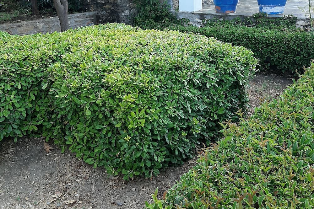 Photo of Outdoor in Agios Konstantinos