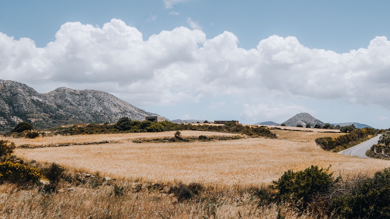 Photo of Others in Naxos
