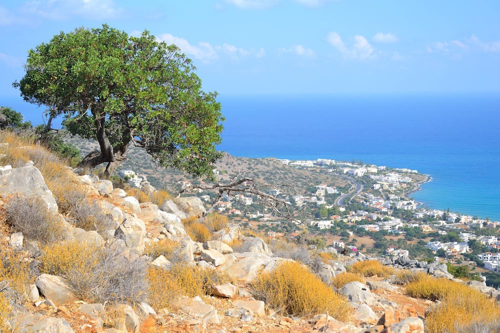 Photo of Others in Koutouloufari