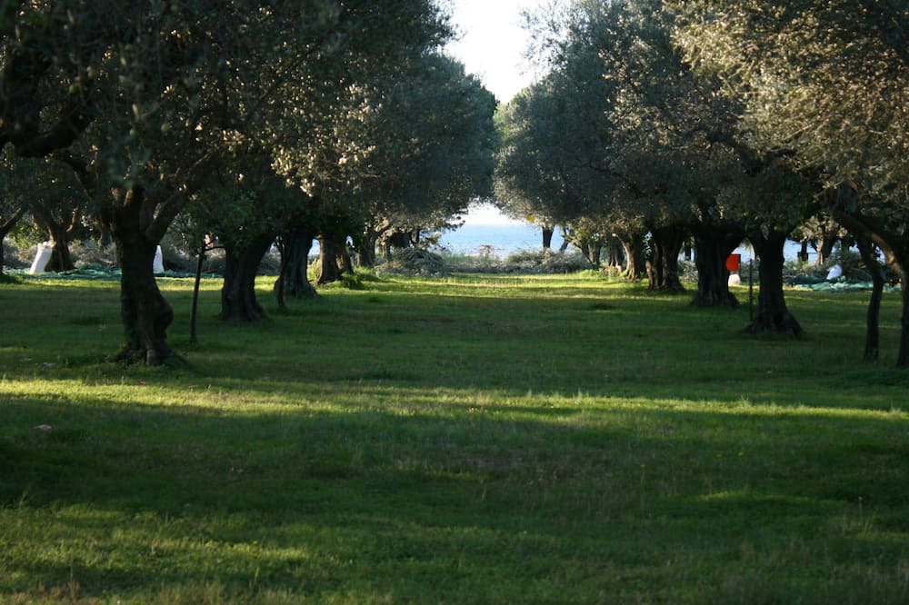 Photo of Others in Gefira Mpania