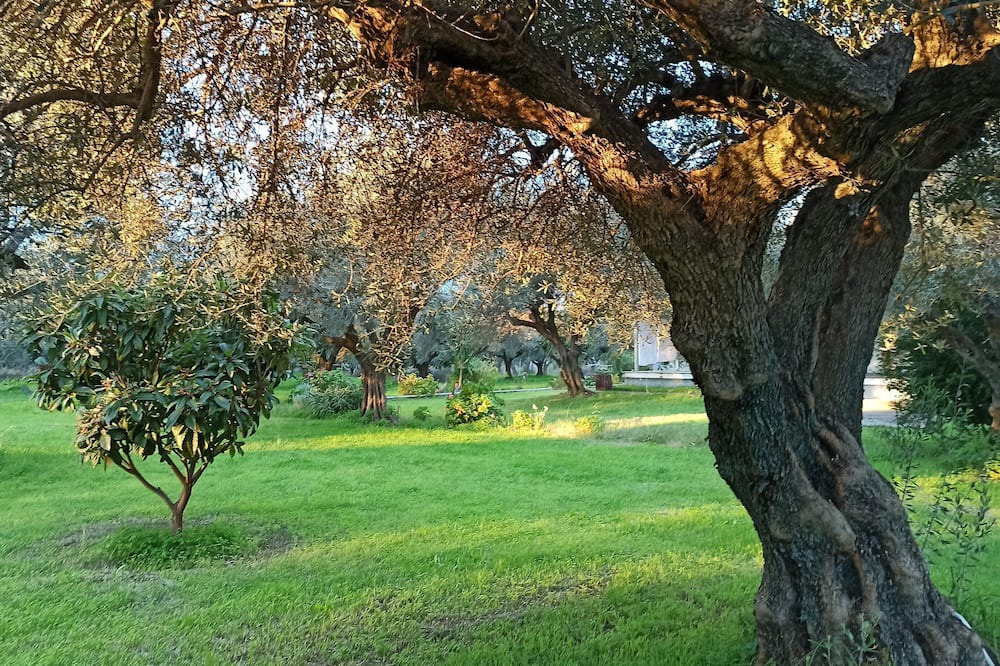 Photo of Outdoor in Gefira Mpania