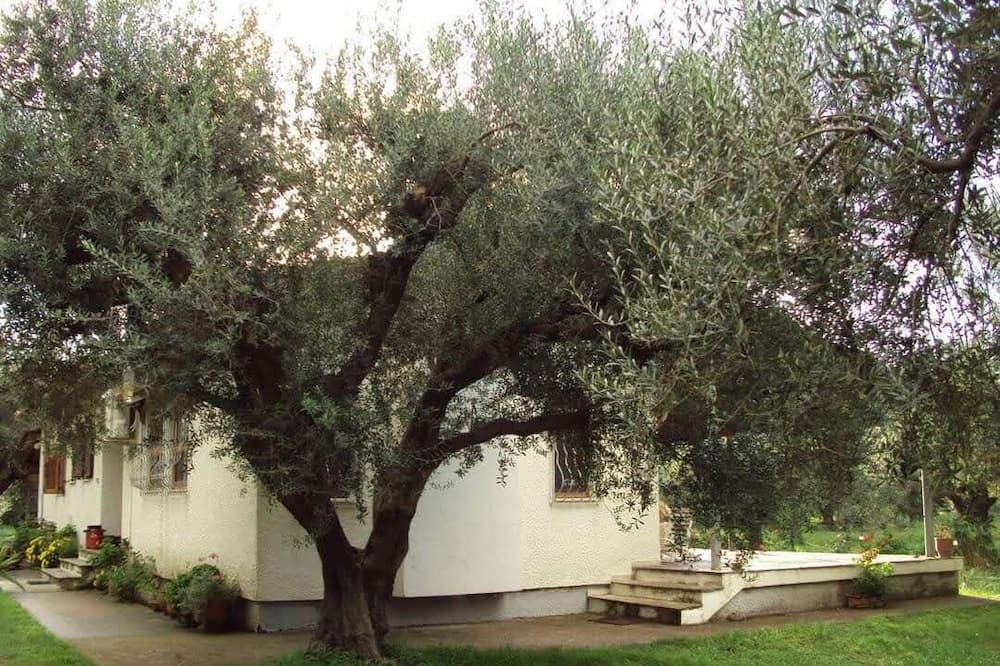 Photo of Outdoor in Gefira Mpania